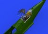 Eduard 648340 Bf 109G-4 cockpit EDUARD 1/48